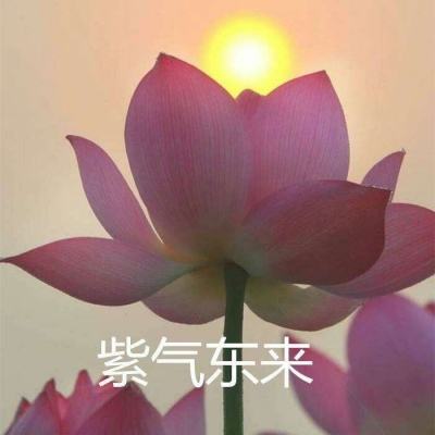 趣玩丰途app下载官方版